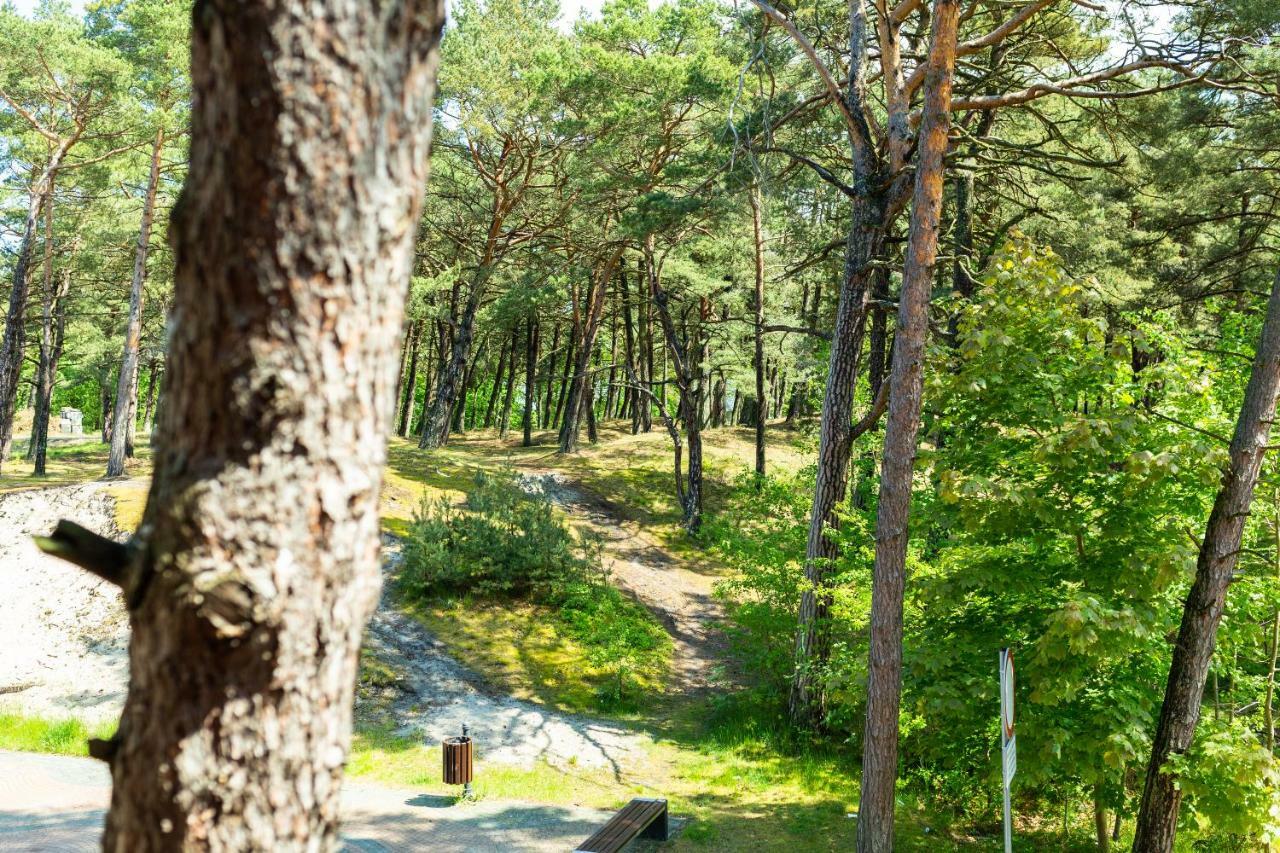 Ponik Apartamenty Przy Plazy Погожеліца Екстер'єр фото